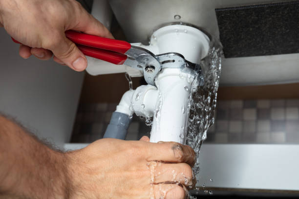 Best Mold removal after water damage  in Olive Branch, MS