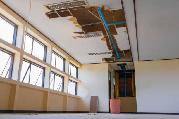 Best Water damage cleanup near me  in Olive Branch, MS