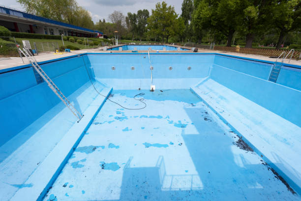 Best Local water damage restoration  in Olive Branch, MS