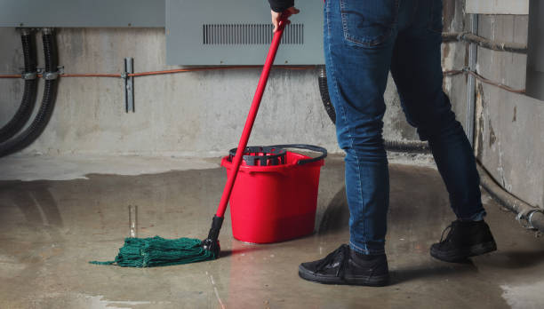 Best Flooded house restoration  in Olive Branch, MS