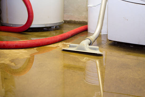 Best Water damage contractors near me  in Olive Branch, MS