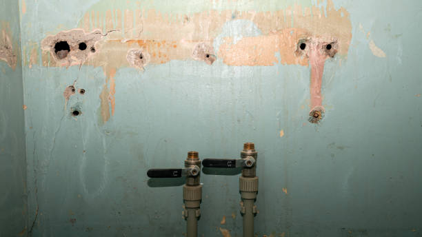 Best Emergency water damage restoration  in Olive Branch, MS