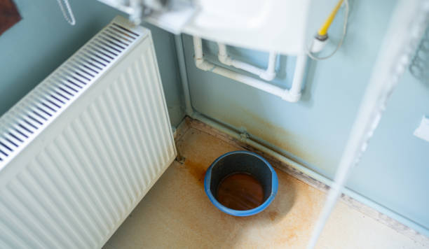 Best Commercial water damage restoration  in Olive Branch, MS