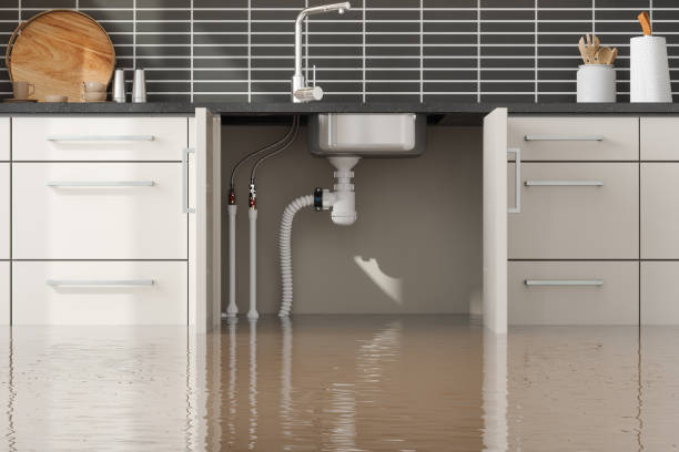 Best Water damage restoration near me  in Olive Branch, MS