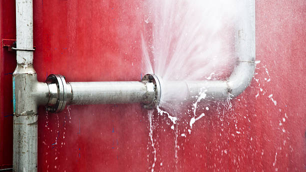 Best Flood restoration services  in Olive Branch, MS